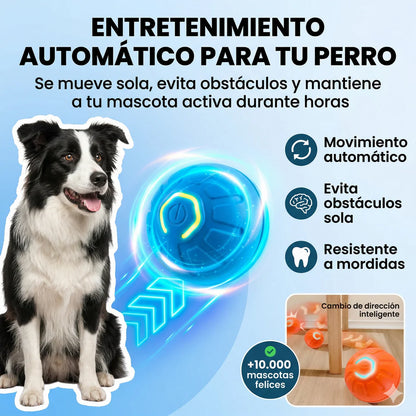 Pelota inteligente para mascotas